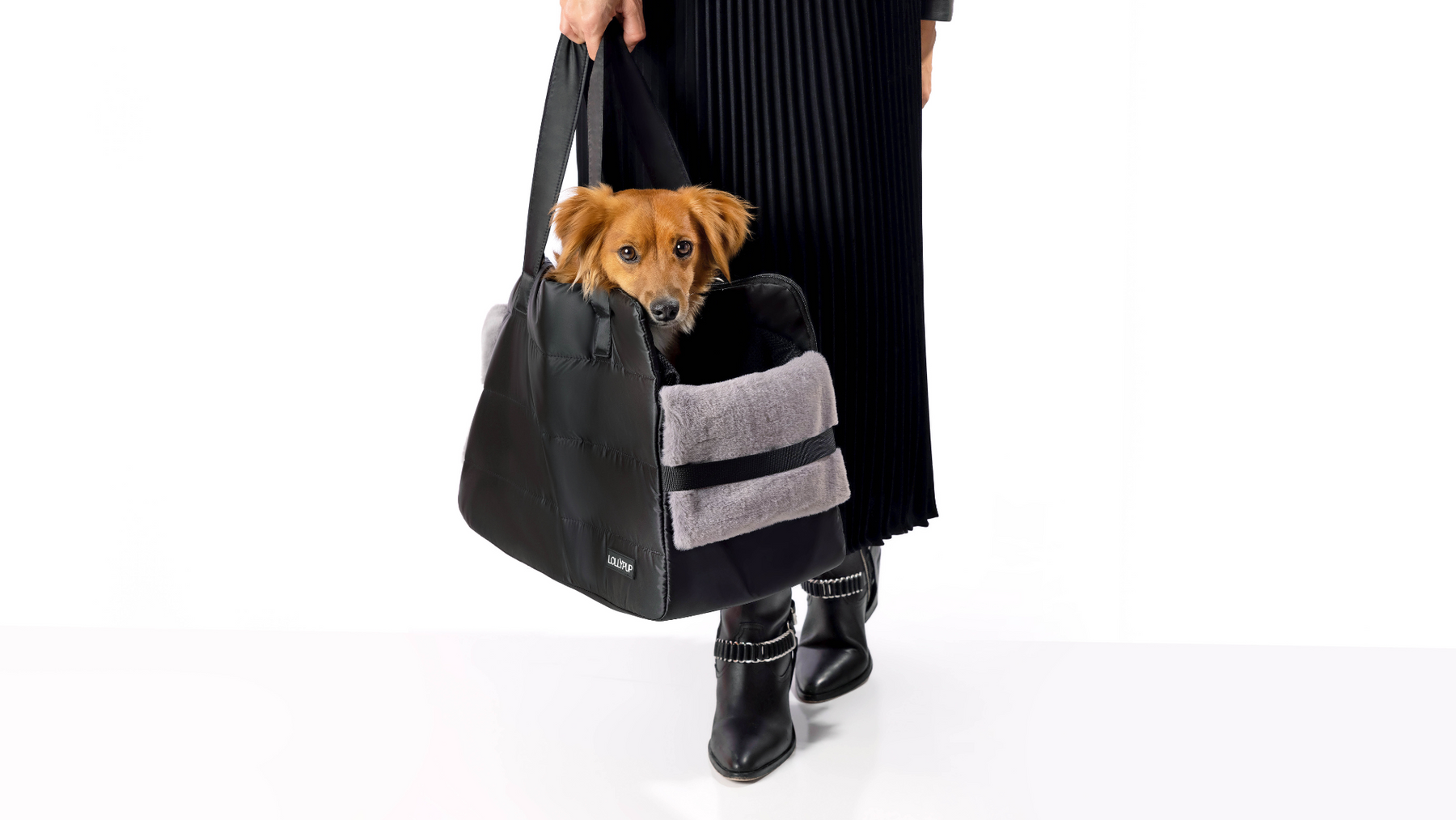 LollyPup: Stylish Pet Travel Essentials for the Modern Dog Parent